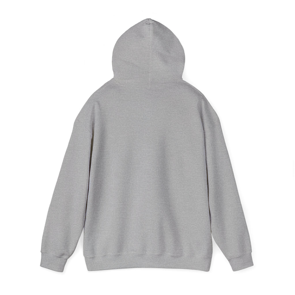 Adventure Graphic Hoodie — “Above the Rest” Mountain Sunset Pullover